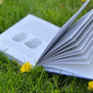 Aufgeschlagenes Buch mit Illustration Windrad und Solarmodul liegt auf grüner Wiese