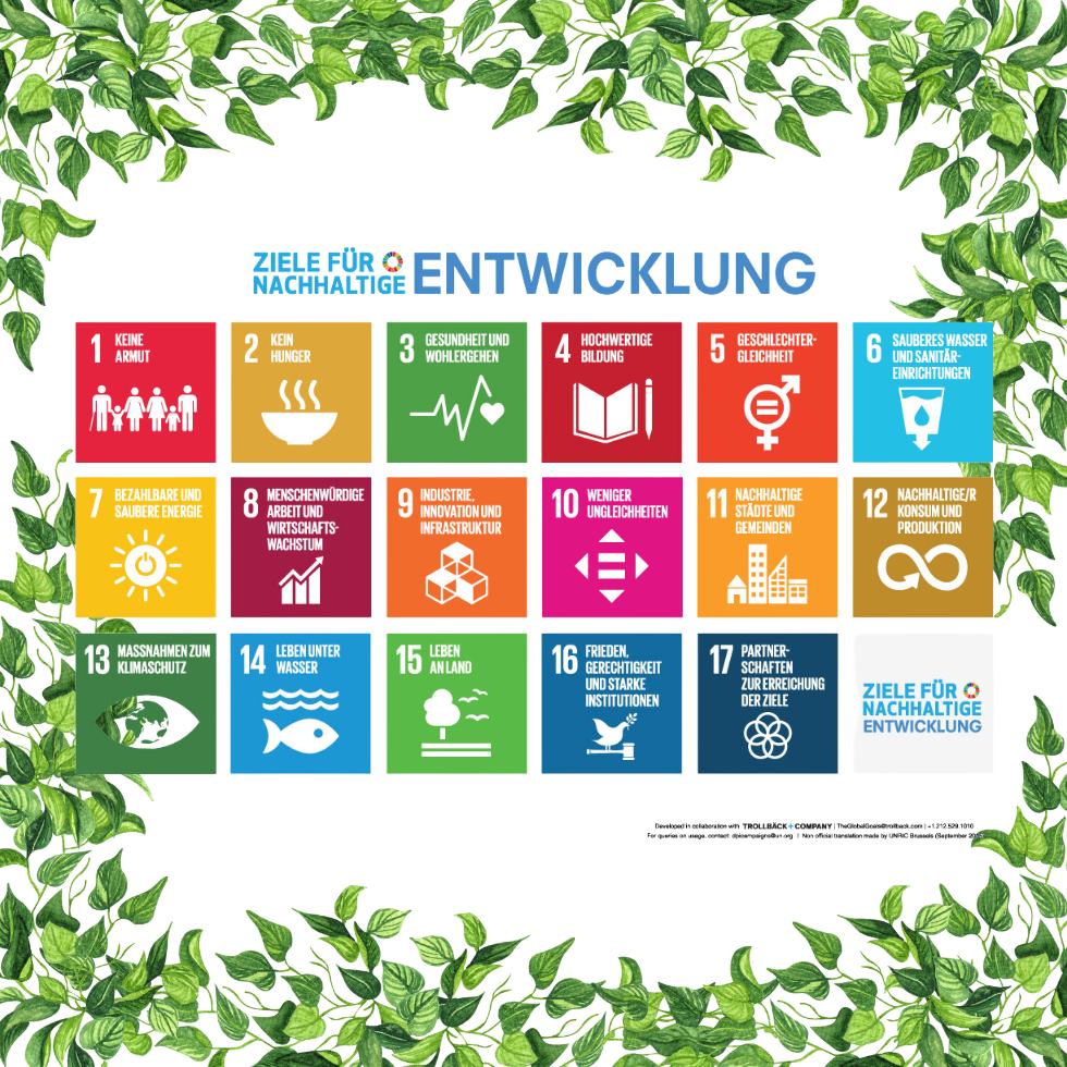 Grafik 17 Nachhaltigkeitsziele UNO